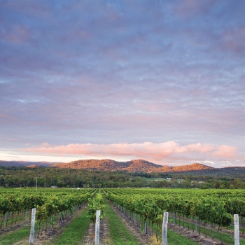 Granite Belt Wineries: Discovering the Hidden Gems of Queensland’s Wine Country