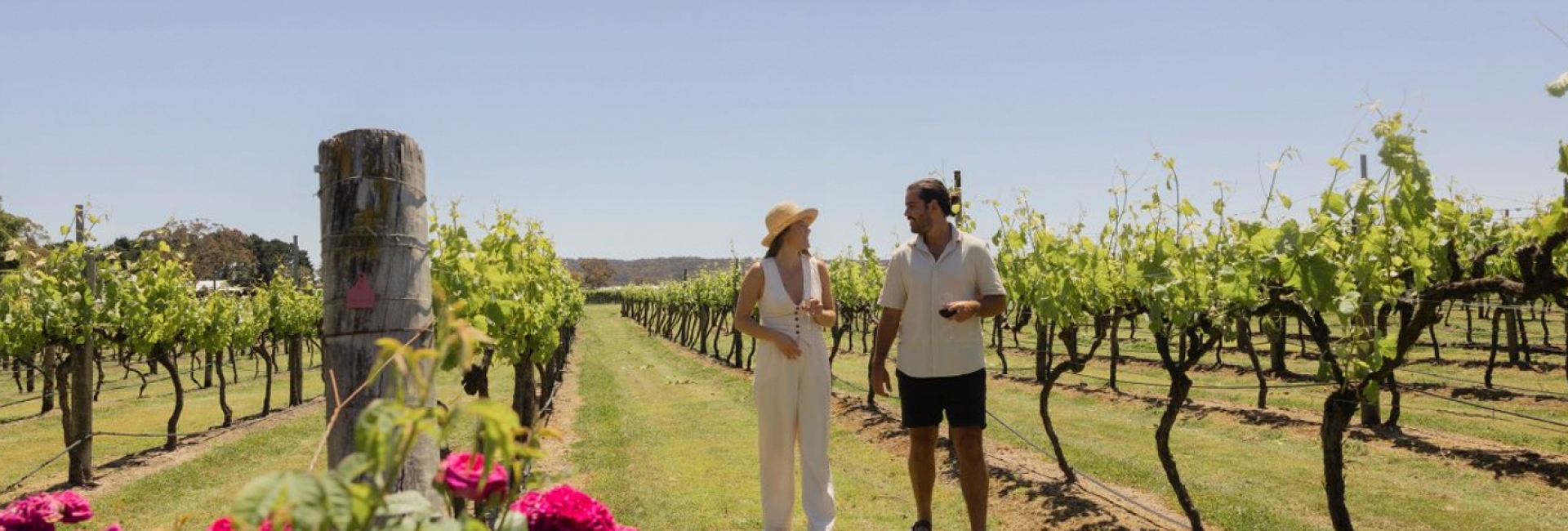 Why a Winery Tour is the Perfect Way to Experience the Granite Belt