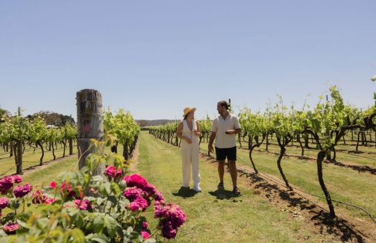 Why a Winery Tour is the Perfect Way to Experience the Granite Belt